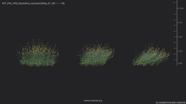 Maxtree Plant Models Vol 49 - Mesh