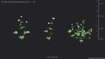 Maxtree Plant Models Vol 49 - Mesh