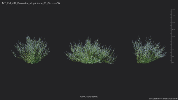 Maxtree Plant Models Vol 49 - Mesh