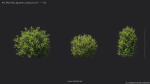 Maxtree Plant Models Vol 49 - Mesh