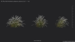 Maxtree Plant Models Vol 49 - Mesh
