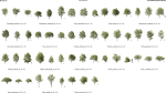 Maxtree Plant Models Vol 5 - Mesh