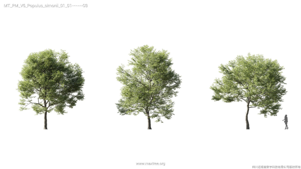 Maxtree Plant Models Vol 5 - Mesh