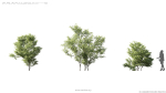 Maxtree Plant Models Vol 5 - Mesh