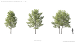 Maxtree Plant Models Vol 5 - Mesh