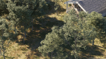 Maxtree Plant Models Vol 5 - Mesh