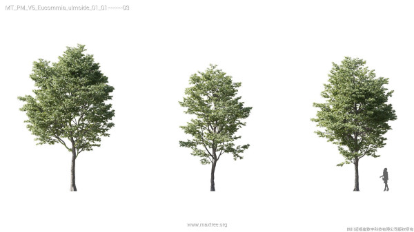 Maxtree Plant Models Vol 5 - Mesh