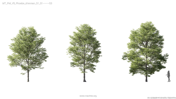 Maxtree Plant Models Vol 5 - Mesh