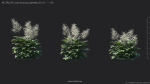 Maxtree Plant Models Vol 51 Low Poly - Mesh