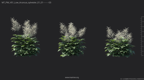 Maxtree Plant Models Vol 51 Low Poly - Mesh