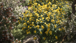 Maxtree Plant Models Vol 51 Low Poly - Mesh