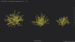 Maxtree Plant Models Vol 51 Low Poly - Mesh