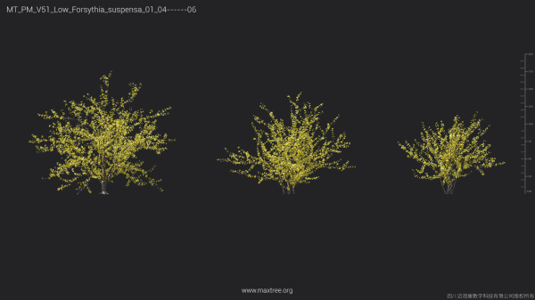 Maxtree Plant Models Vol 51 Low Poly - Mesh