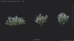 Maxtree Plant Models Vol 51 Low Poly - Mesh