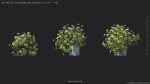 Maxtree Plant Models Vol 51 Low Poly - Mesh