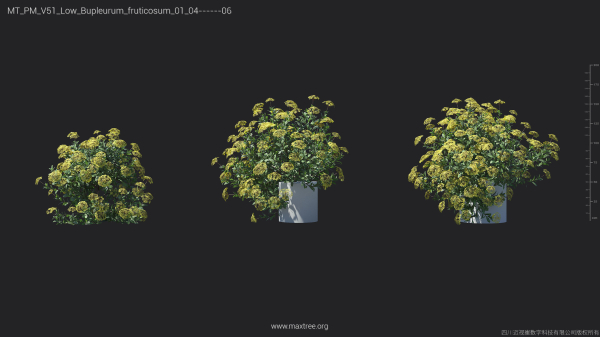 Maxtree Plant Models Vol 51 Low Poly - Mesh