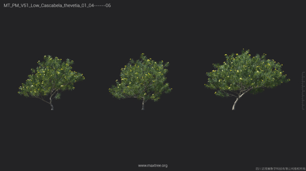 Maxtree Plant Models Vol 51 Low Poly - Mesh