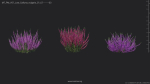 Maxtree Plant Models Vol 51 Low Poly - Mesh