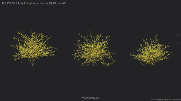 Maxtree Plant Models Vol 51 Low Poly - Mesh