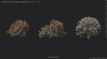 Maxtree Plant Models Vol 51 Low Poly - Mesh