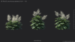 Maxtree Plant Models Vol 51 Low Poly - Mesh
