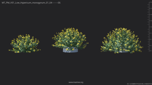 Maxtree Plant Models Vol 51 Low Poly - Mesh