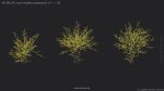 Maxtree Plant Models Vol 51 Low Poly - Mesh