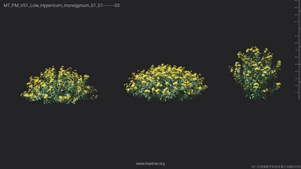 Maxtree Plant Models Vol 51 Low Poly - Mesh