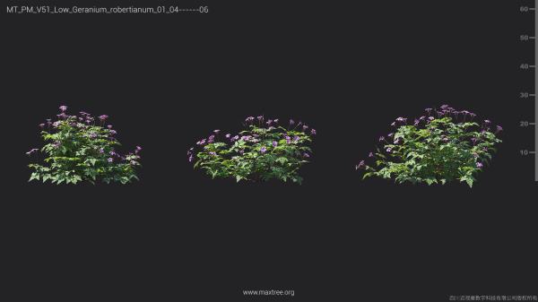 Maxtree Plant Models Vol 51 Low Poly - Mesh