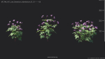 Maxtree Plant Models Vol 51 Low Poly - Mesh