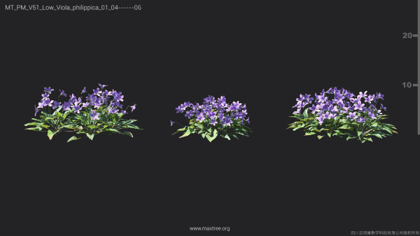 Maxtree Plant Models Vol 51 Low Poly - Mesh