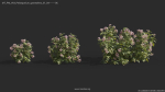 Maxtree Plant Models Vol 64 - Mesh