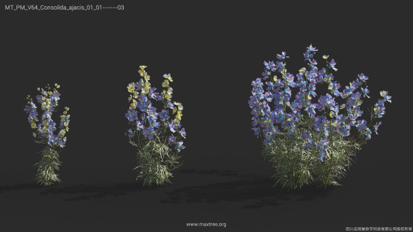 Maxtree Plant Models Vol 64 - Mesh