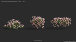 Maxtree Plant Models Vol 64 - Mesh
