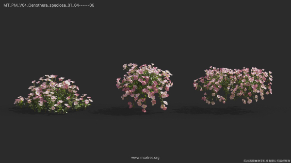 Maxtree Plant Models Vol 64 - Mesh