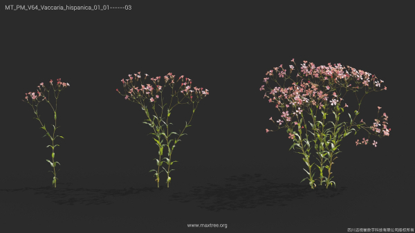 Maxtree Plant Models Vol 64 - Mesh