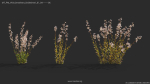 Maxtree Plant Models Vol 64 - Mesh