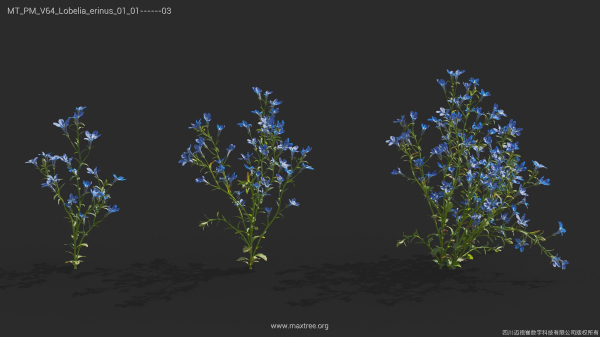 Maxtree Plant Models Vol 64 - Mesh