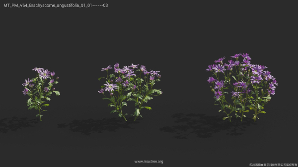 Maxtree Plant Models Vol 64 - Mesh