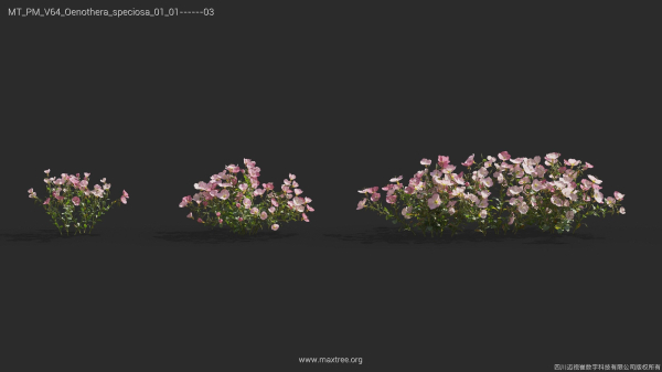 Maxtree Plant Models Vol 64 - Mesh