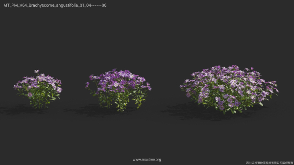 Maxtree Plant Models Vol 64 - Mesh
