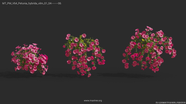 Maxtree Plant Models Vol 64 - Mesh