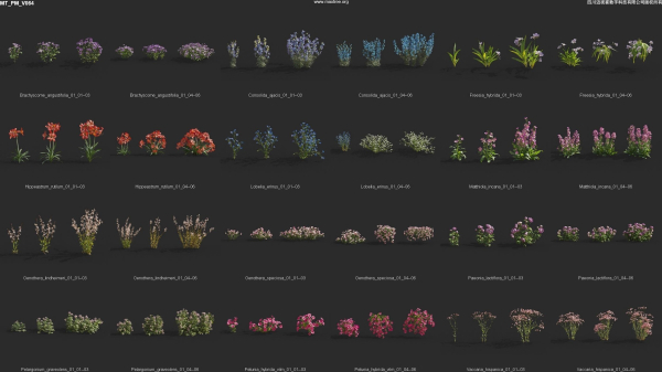 Maxtree Plant Models Vol 64 - Mesh
