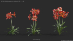 Maxtree Plant Models Vol 64 - Mesh