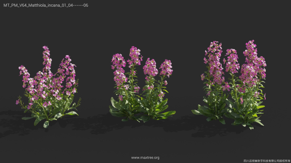 Maxtree Plant Models Vol 64 - Mesh