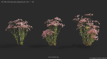 Maxtree Plant Models Vol 64 - Mesh
