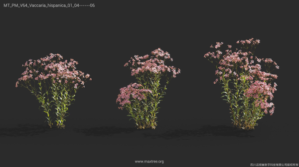 Maxtree Plant Models Vol 64 - Mesh