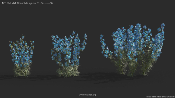 Maxtree Plant Models Vol 64 - Mesh