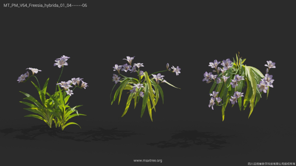 Maxtree Plant Models Vol 64 - Mesh