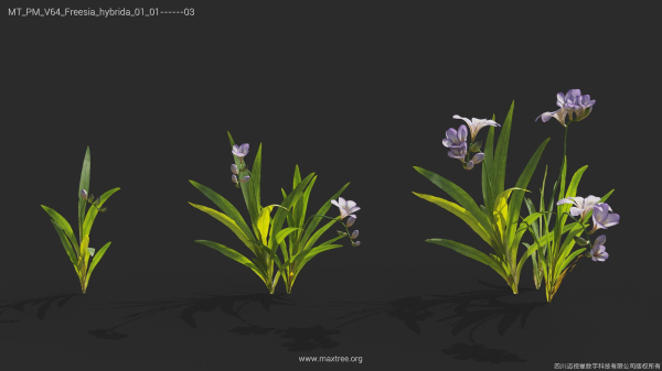Maxtree Plant Models Vol 64 - Mesh